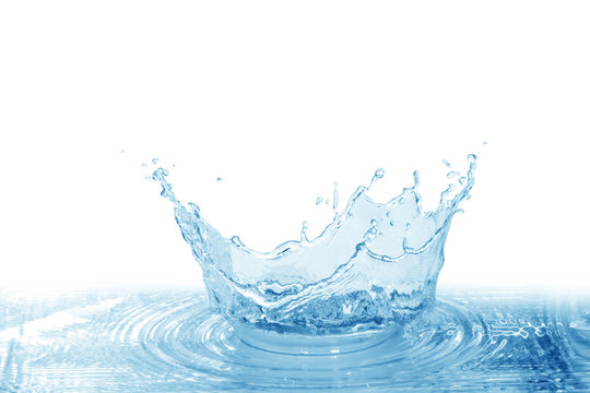 Water splash, water splash isolated on white background, water