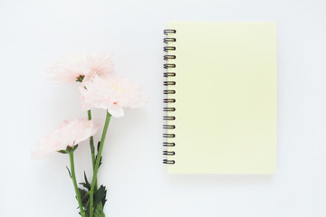 Naklejka premium .yellow notebook on a spring and pink chrysanthemum flower on a white table..