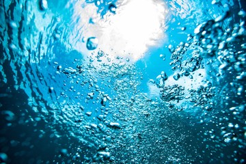 surfacing. Galapagos islands
