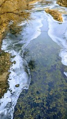 stream in the forest