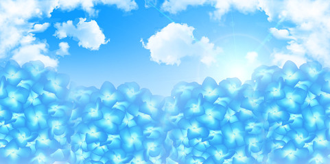 あじさい　梅雨　花　背景