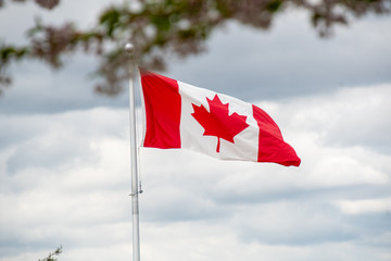 The Canadian flag waving in the wind,with an out of focus cherry blossom branch in the foreground.　　　Vancouver BC Canada

