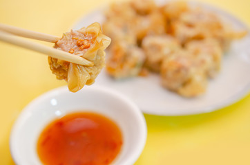 Shrimp chinese steamed dumpling