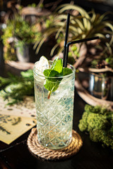 tasty cocktail in the bar