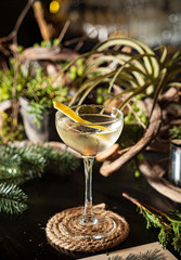tasty cocktail in the bar