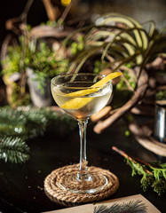 tasty cocktail in the bar