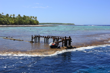 Naklejka premium beach in the morning Tetiaroa