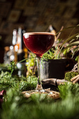 tasty cocktail in the bar