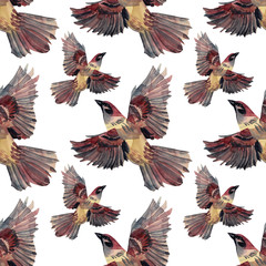 Seamless pattern watercolor flying sparrow hand-drawn bird art creative animal background wrapping textile
