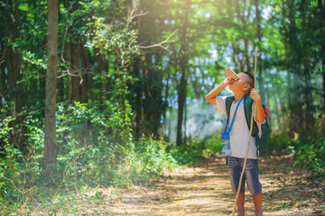 Children go hiking at backyard with backpacks at forest path. Explorer and adventure with toy binocular