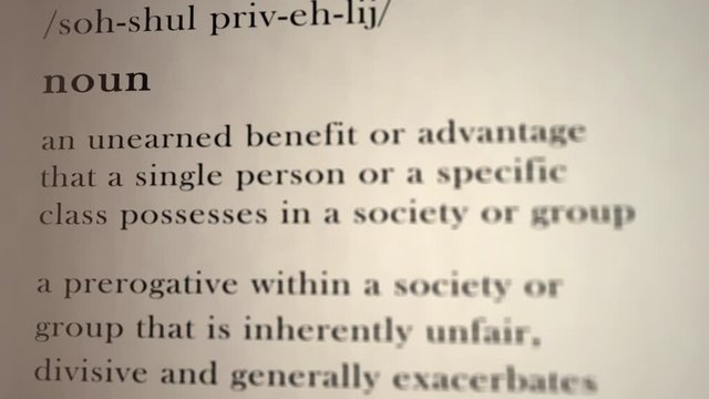 Social Privilege Definition