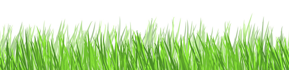 Fototapeta na wymiar seamless floral grass panorama background