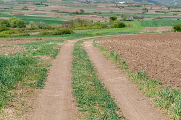 Dirt Road in The Countryside