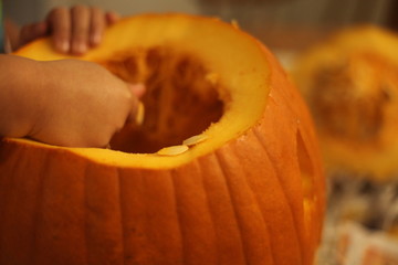 CLEAN OUT A PUMPKIN CARVING, SEEDS, PERFECT, JACK O LANTERN, INSIDE, 