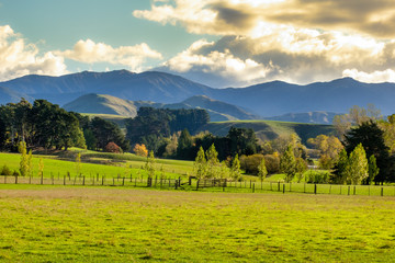 Obraz premium Agricultural rural farmland with a backdrop of the rugged Tararua ranges and hills