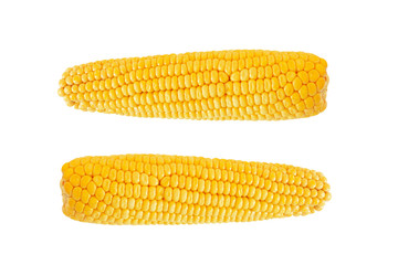 Corn cob isolated on white background.