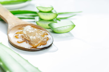Aloe Vera sliced on wood spoon isolated on white background.