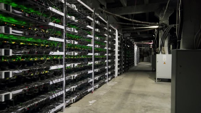 Cryptocurrency mining equipment on large farm. ASIC miners on stand racks mine bitcoin in server room. Blockchain techology application specific integrated circuit. Steadycam footage along racks.