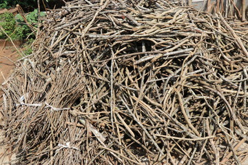 Pile of firewood which is dry and ready for use