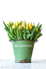 A bouquet of yellow dutch tulips in bud with green leaves in an old potato bucket with text potatoes in dutch. Springtime concept. Vertical image with selective focus and copy space.