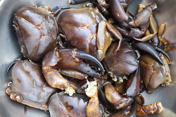 Fresh River Water Crab for sale