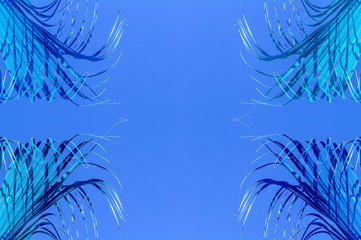 Fototapeta na wymiar Cadre de palmes bleues