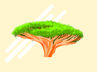 Dracaena draco Dragon Blood Tree Flat vector Icon Illustration