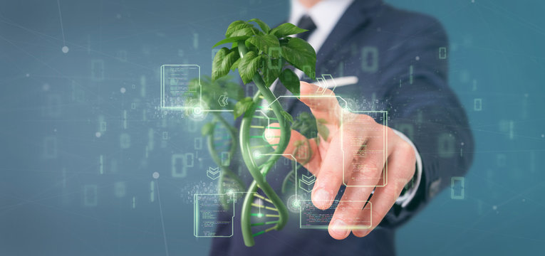 Businessman holding a DNA growing as a plant - 3d rendering