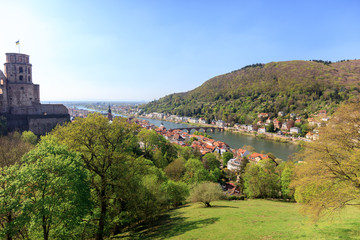Fototapeta na wymiar Daytime view of Heidelberg from a height. Bridge, river Necka, old town, trees with green leaves, mountain, maroontiled roofs. Embankment View of the Heidelberg castle.
