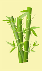 Fototapeta na wymiar Bamboo stems in a flat style, icon. Vector illustration, realism. Tropical Asian nature.