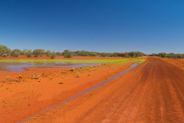 Obraz premium Gravel Road in the Australian Outback turning green after rain.