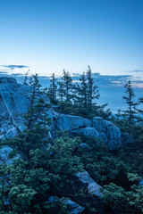 Conifers grow among the rocks on the top of Zyuratkul' National Park mountains at early morning