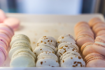 Fresh colored macaroons close-up, sale in coffee shop showcase.