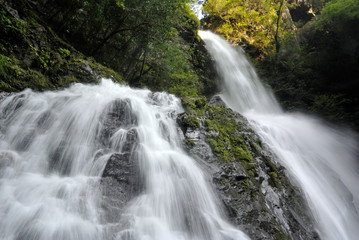 Fototapeta premium 仁淀川