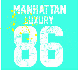 New York college embroidery graphic design vector art