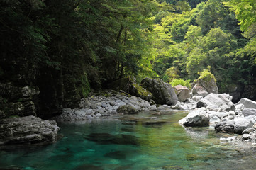 Fototapeta premium 仁淀川