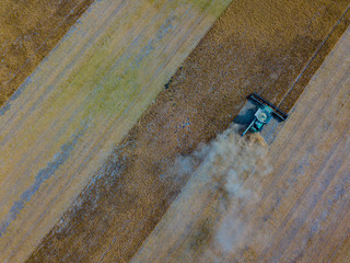Aerial drone footage of combine harvester from above  harvesting fields in Canada Saskatchewan during sunset beautiful machinery  john deer 