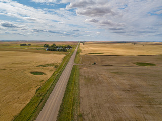 harvesting, harvest, fields, farming, hazlet, saskatchewan, farms, nature, province, combine, prairies, grassland, aerial photo, aerial image, manitoba, mustard, agricultural, large, overhead, equipme