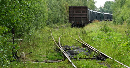 Freight train on the railway track overgrown with grass