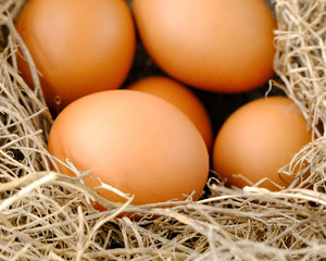 nest with raw chicken eggs on wooden background

