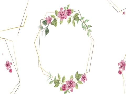 flower pink rose video