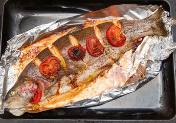 baked trout fish with tomatoes