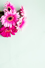 pink gerbera daisy , lovely background for Valentines Day, Birthday, Anniversary or floral greeting card.Happy mother's day greeting card with copy space, chamomile flowers