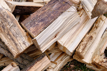 Chopped aspen firewood lying on the ground