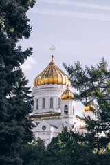 Fototapeta na wymiar August 2019. Moscow. White Orthodox Church among pines, trees with a golden dome