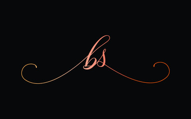 bs or b, s Lowercase Cursive Letter Initial Logo Design, Vector Template