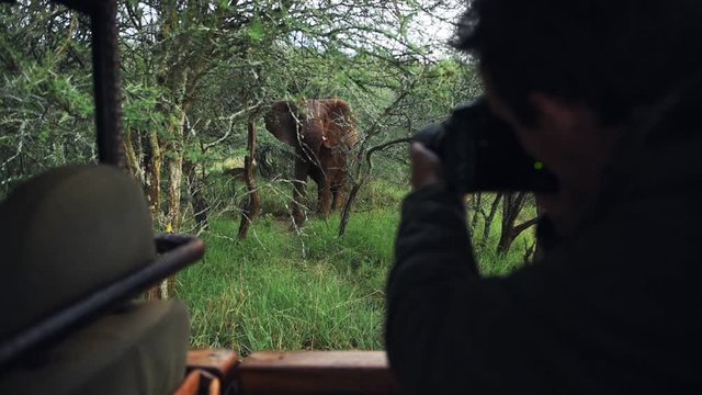 Photographer taking pictures of a territorial wild elephant, in the bush, Kenya, Africa
