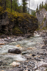 Obraz premium Mountain rivulet flows along the gorge near the rock. A lot of stones in the riverbed. Trees and green moss grow on a rock. Vertical.