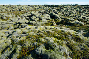 However there are so many incredible waterfalls in this stunning country to see, this isn’t a complete list of the ones around Iceland