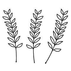 Fototapeta premium Three beautiful thin twigs with leaves on a white background. Black and white vector illustration of twigs close-up. Isolated objects for your design.